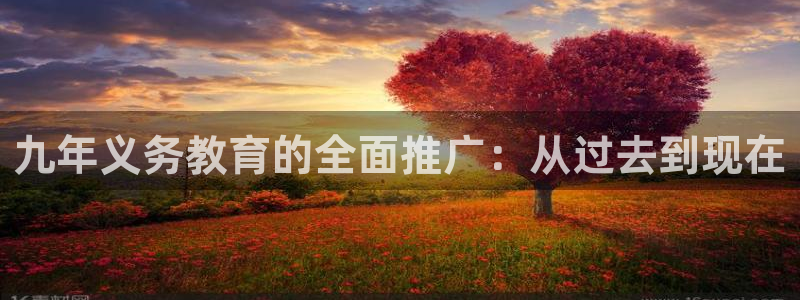 新宝5彩票平台登陆