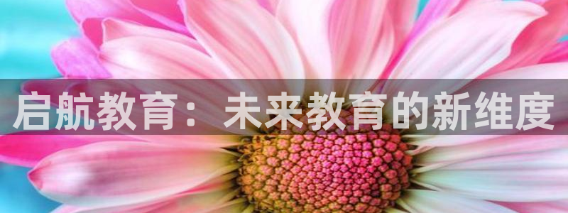 新宝5日