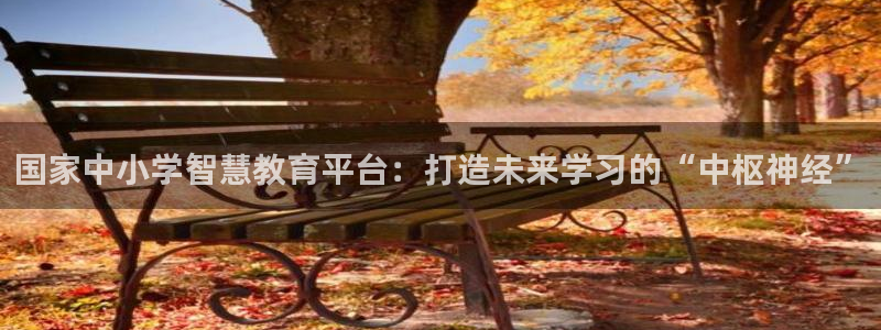 新宝5彩票娱乐平台