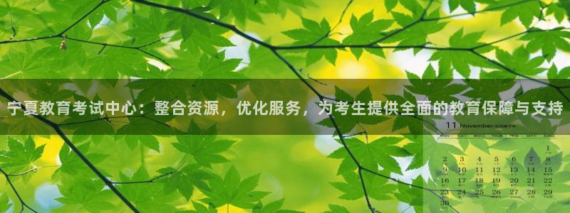 新宝5怎么代理