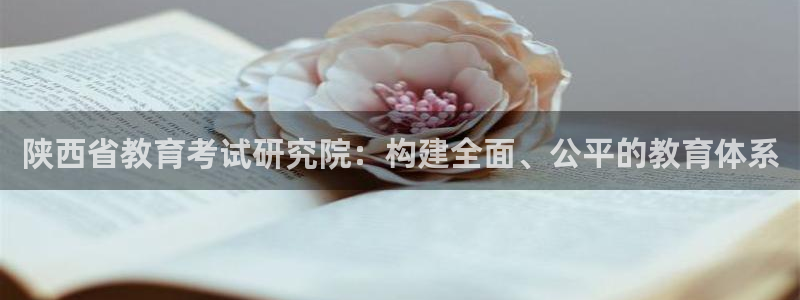 新宝cR一5