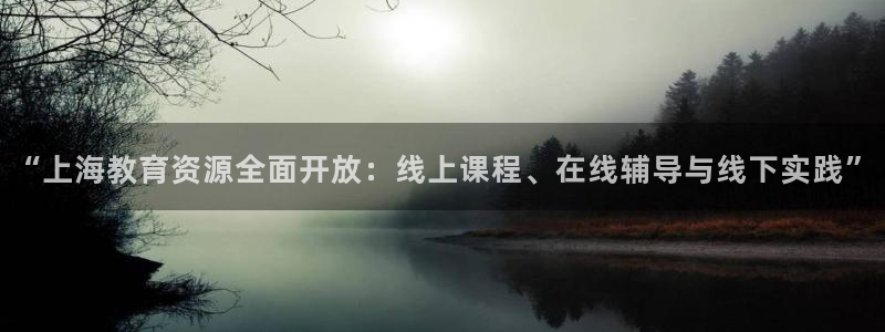 新宝5怎么代理