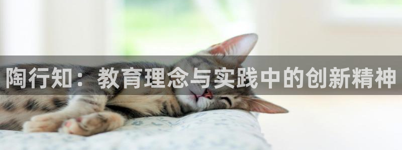 新宝5娱乐学