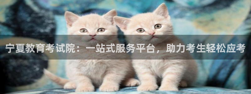 新宝5招商222111