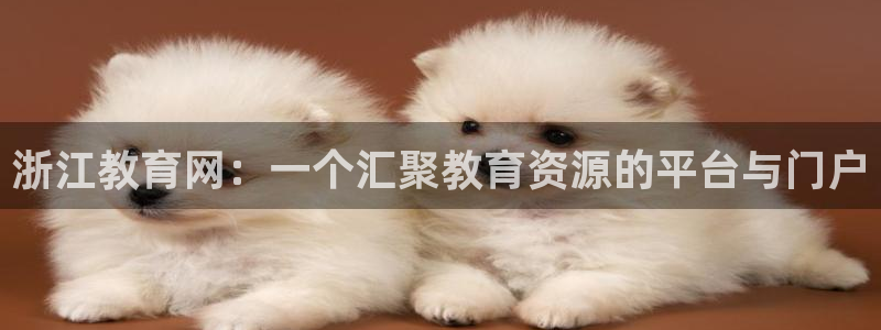 新宝5下载 迅雷下载
