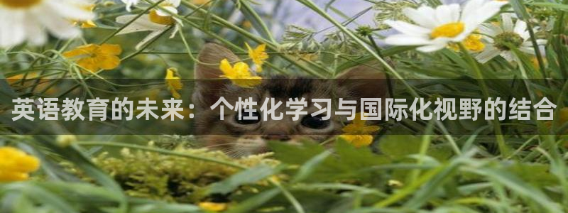 新宝5在哪里