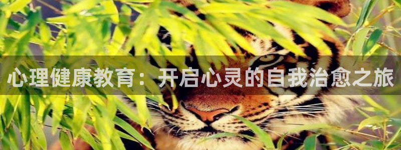 新宝5系列
