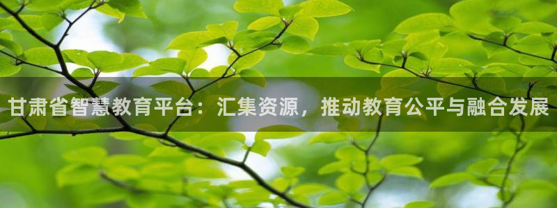 新宝5首页