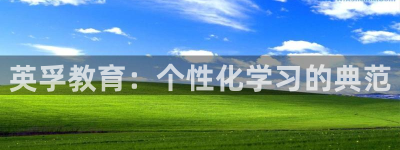 新宝5娱乐多