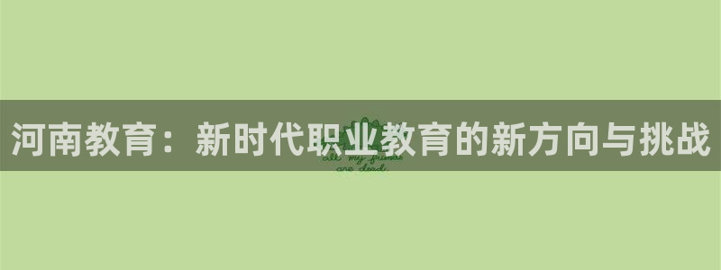 新宝那2O5O5O