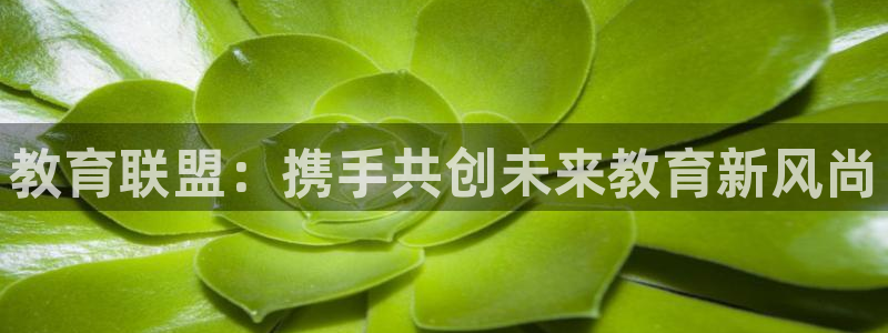 新宝5秒开