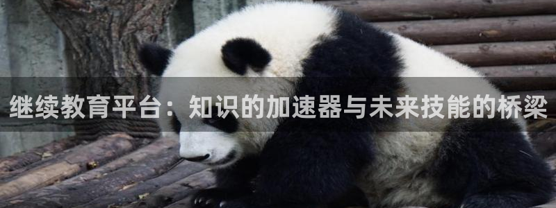 新宝5是什么样子的