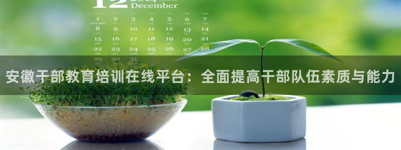 新宝堂新会陈皮5年